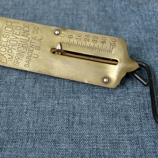 50 Lb Fish Scale Etsy