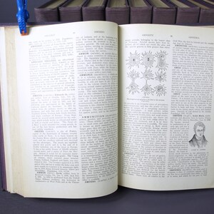 May include: An open book with brown leather covers and white pages. The book is open to a page with the title "Amnesty" and a diagram of a neuron. The text on the page discusses the history of the word "amnesty" and its use in the context of the American Civil War.