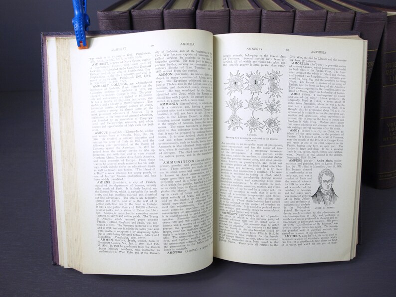 May include: An open book with brown leather covers and white pages. The book is open to a page with the title "Amnesty" and a diagram of a neuron. The text on the page discusses the history of the word "amnesty" and its use in the context of the American Civil War.