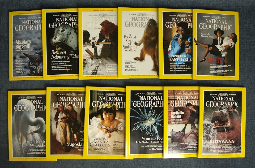 1990 National Geographic Magazines - Full Year - 12 Issues