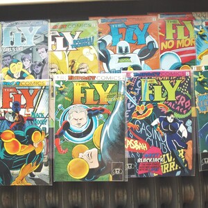 The Fly by Impact / DC Comics - Lot of 11 - VF to NM condition Vol. 1, 4, 5-8, 11-13, 16 and 17
