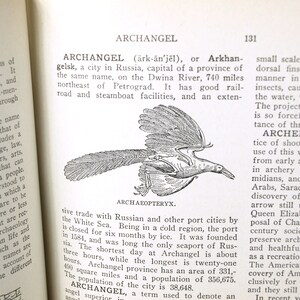 May include: A black and white illustration of a bird with a long tail and a long beak. The bird is flying in the air. The illustration is labeled "Archaeopteryx".