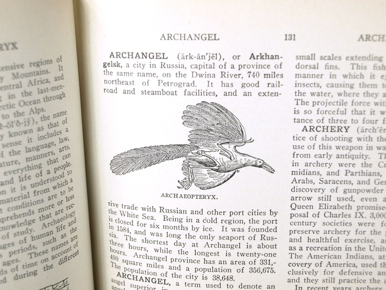 May include: A black and white illustration of a bird with a long tail and a long beak. The bird is flying in the air. The illustration is labeled "Archaeopteryx".