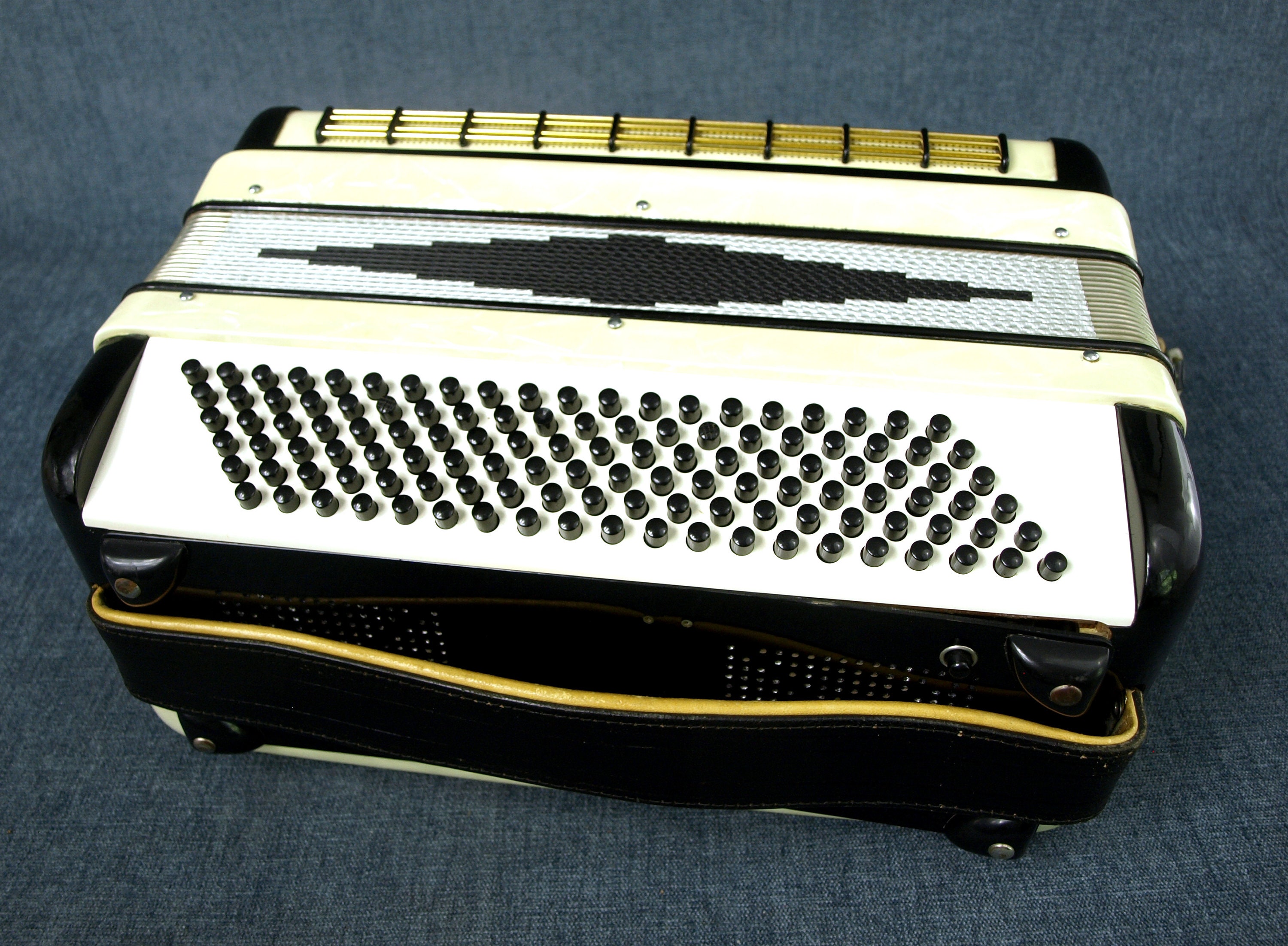 Vintage Camerano Italian Piano Accordion M 608/45 With Faux Mother