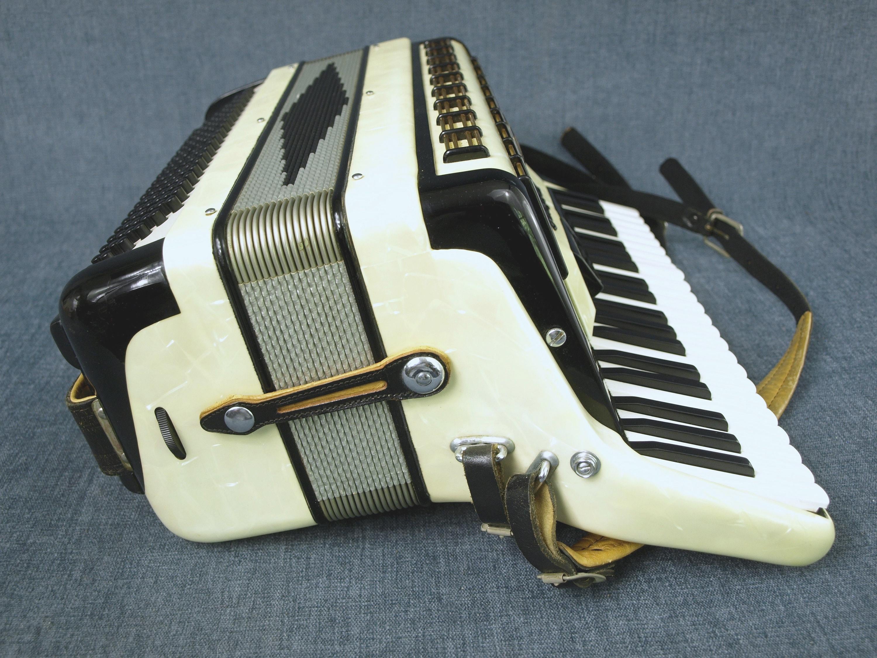 Vintage Camerano Italian Piano Accordion M 608/45 With Faux Mother