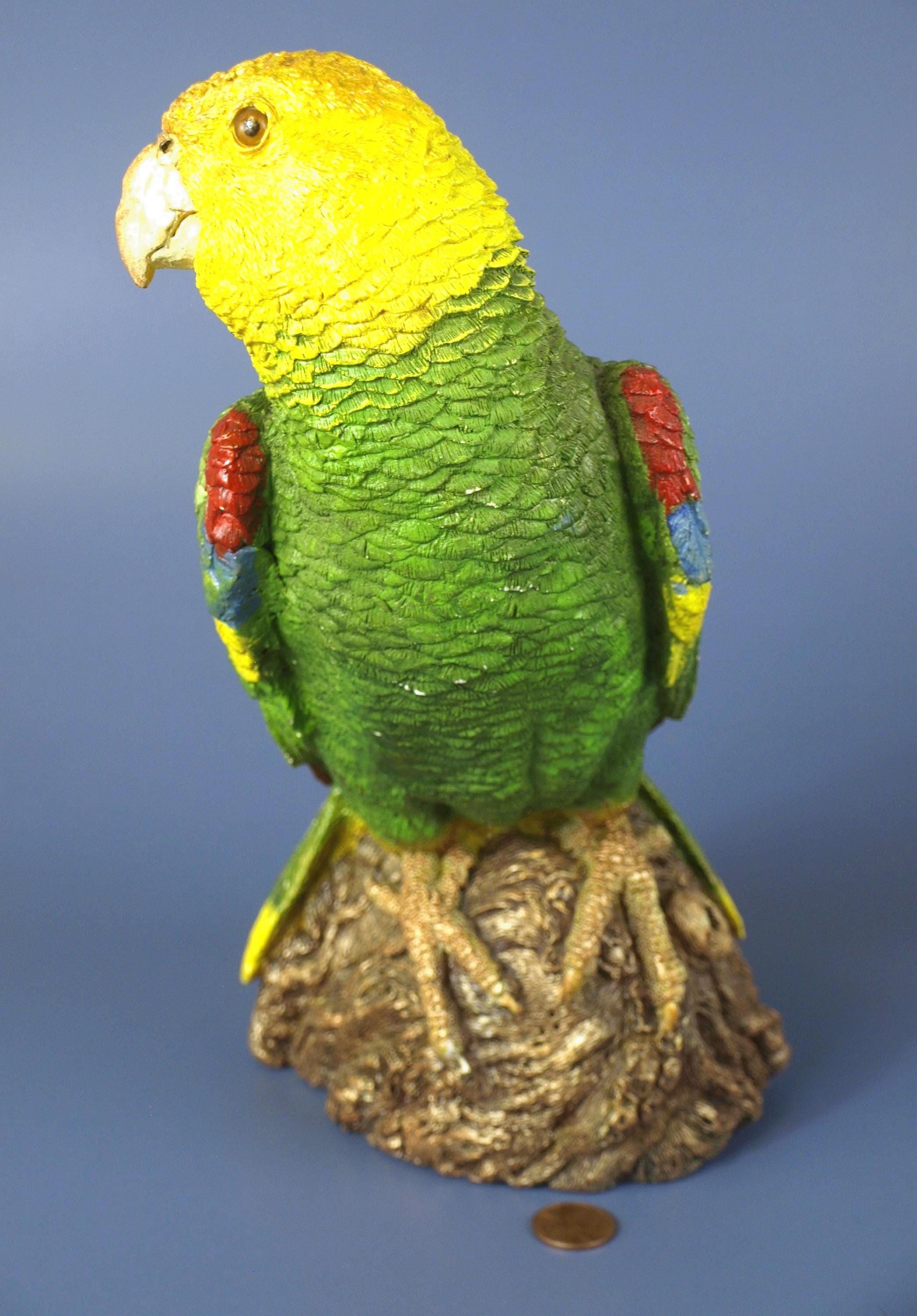 アメリカ製 亀 置物 飾物 USA インテリア Animal Classics Vintage Animal Classics United Design Hand Painted Amazon Parrot