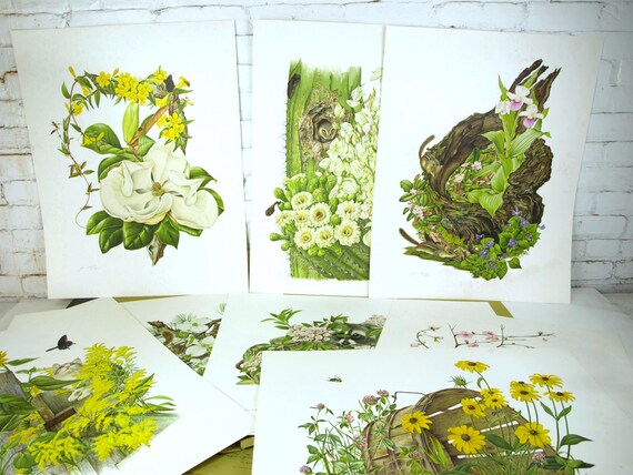 Vintage the Franklin Mint the Flowers of America Jeanne Holgate