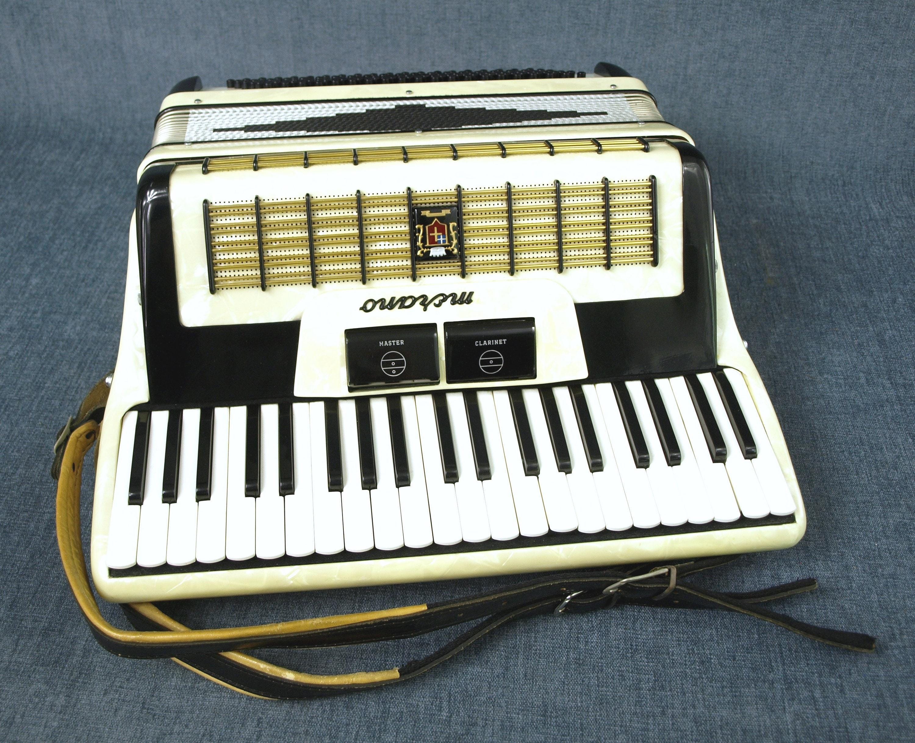 Vintage Camerano Italian Piano Accordion M 608/45 With Faux Mother