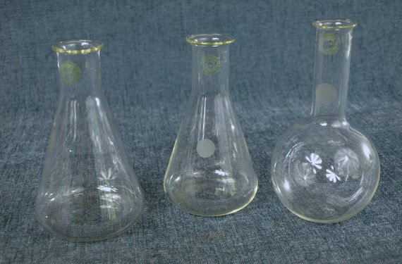 Pyrex Beaker Set of 5, Home Science Tools