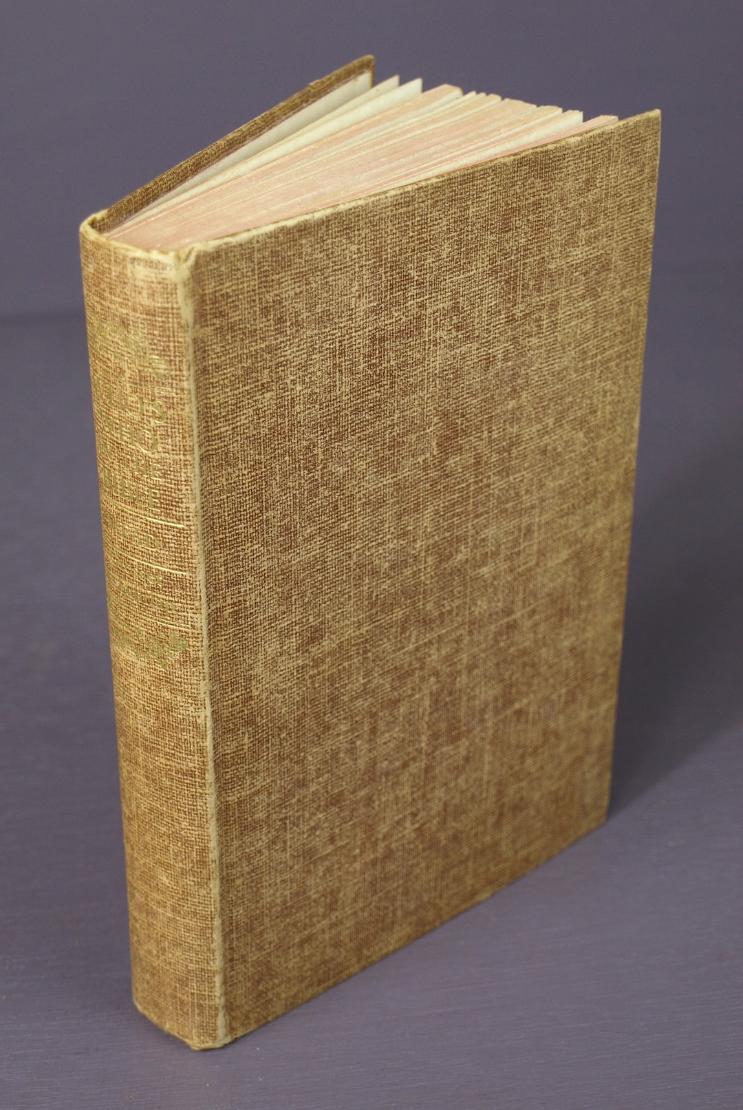 Who's Who in the Bible by Frank S. Mead 250 Bible Biographies Grosset