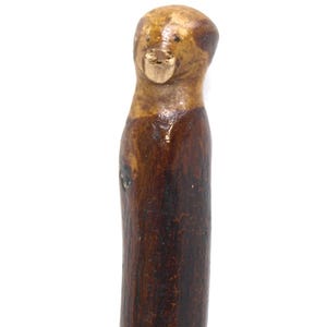 Hand Carved Hickory Finished Wood Walking Stick / Cane w/ Human Dog Head - 39&quot; Long - Great Condition Chip On Nose