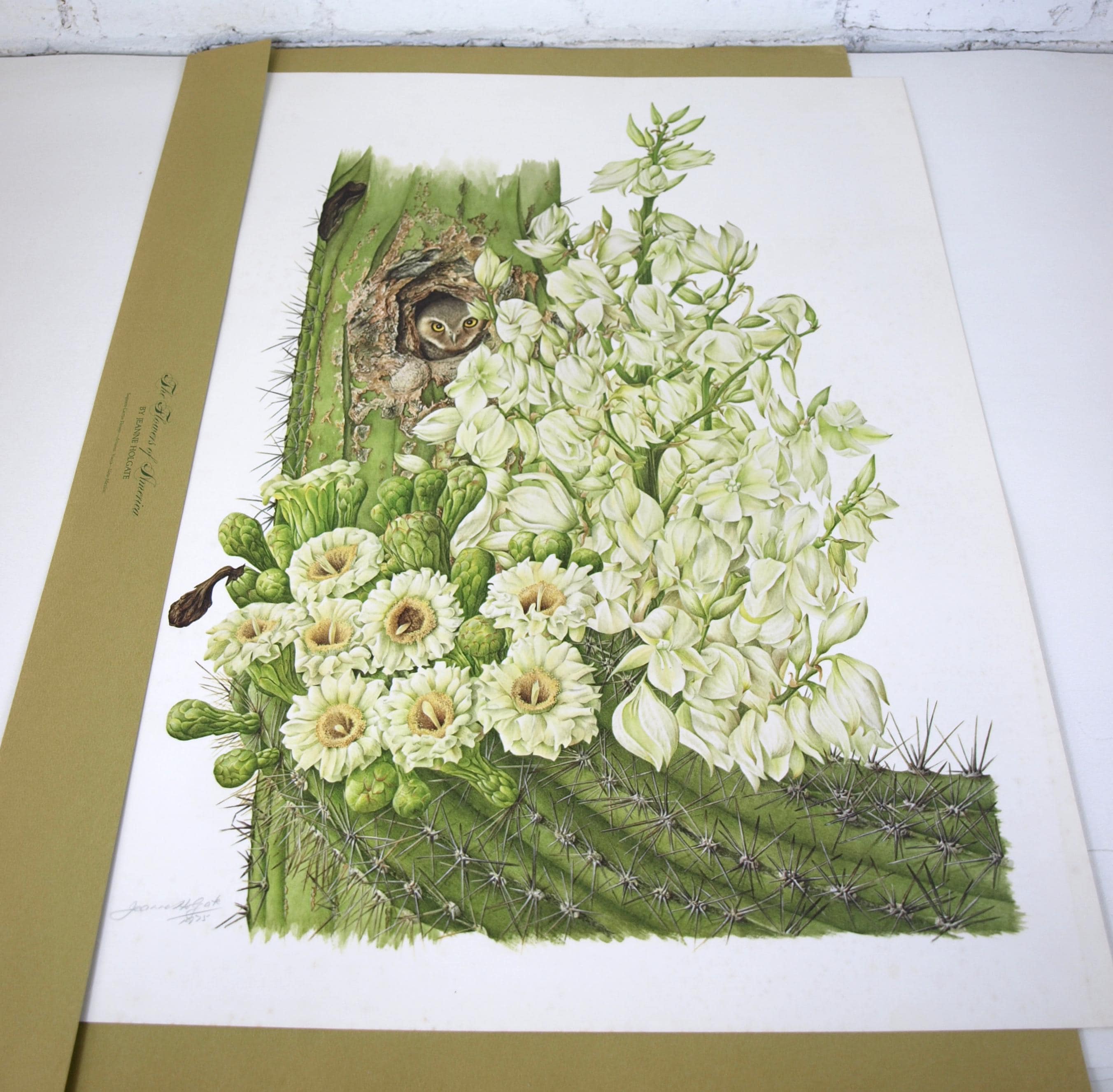 Vintage the Franklin Mint the Flowers of America Jeanne Holgate