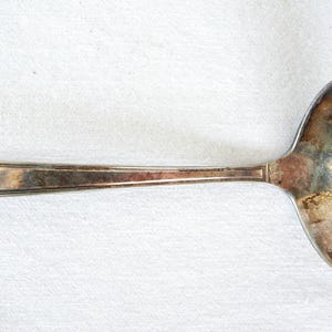 Cucharón plateado/cuchara para salsa Rogers Bros. de 1847 con una F monogramada