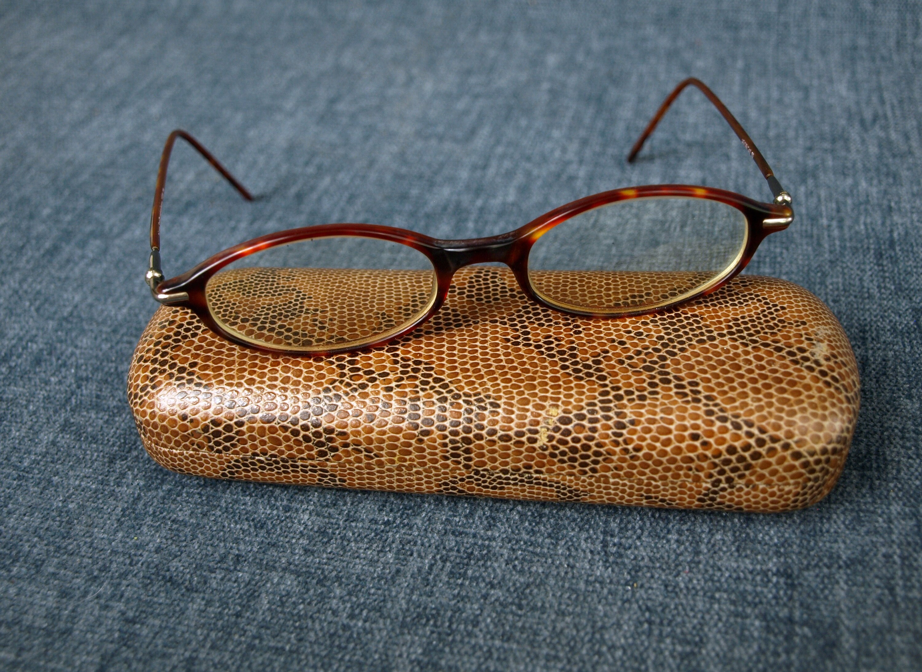 tortoise shell glasses case