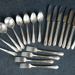 White Orchid】 ディナーセット 8名用55本 サーバー付