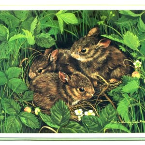 Limited Edition Framed Wildlife Art Print by Susan Bankey Yoder 1989 Titled: Cottontail Spring Baby Bunny Rabbits in Strawberry Patch 55/500