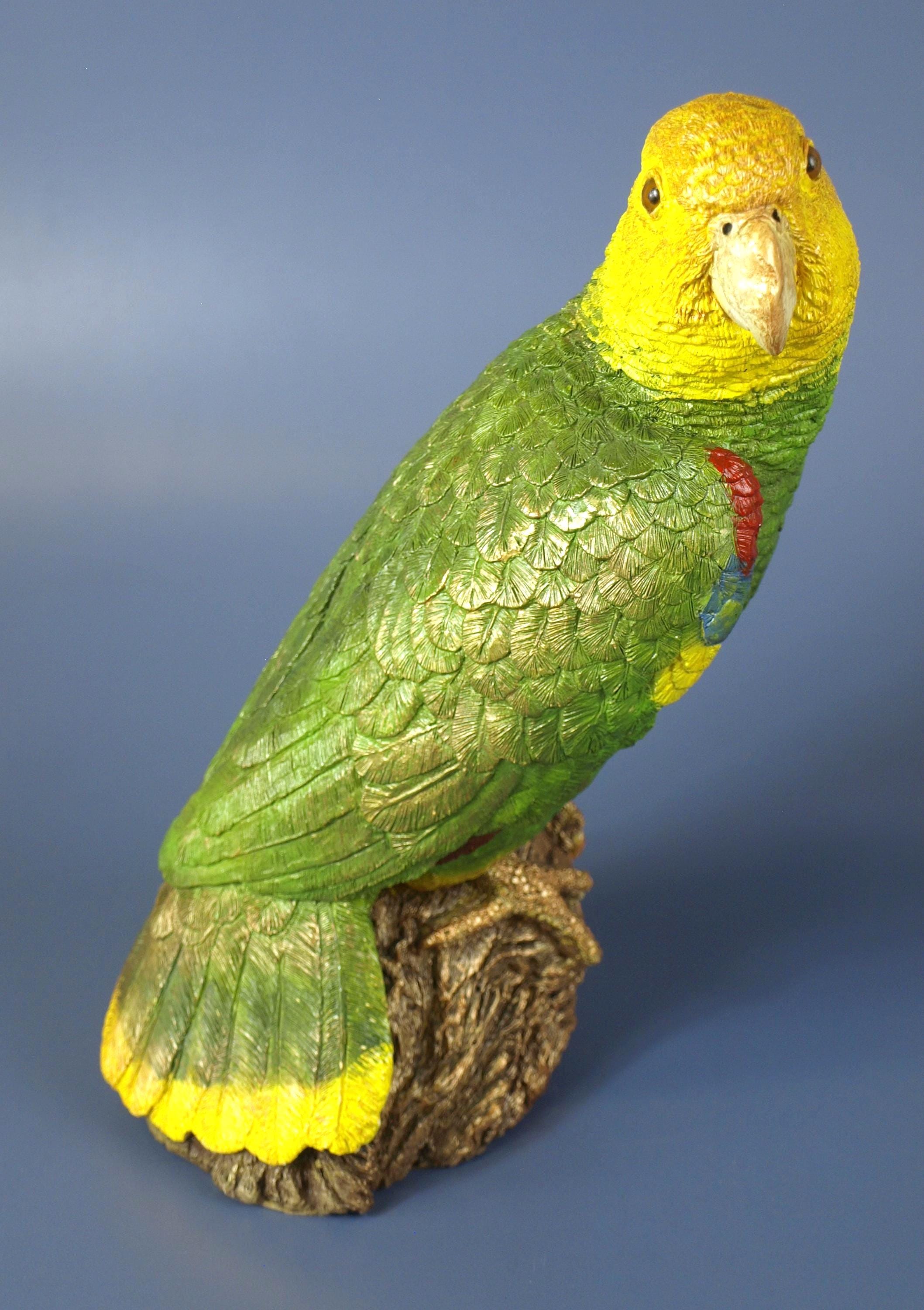 アメリカ製 亀 置物 飾物 USA インテリア Animal Classics Vintage Animal Classics United Design Hand Painted Amazon Parrot