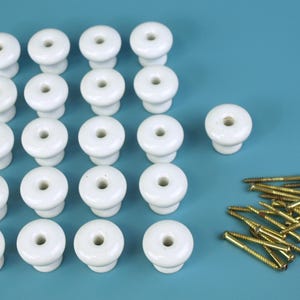 May include: A collection of twenty-one white ceramic cabinet knobs with a central hole, arranged on a blue surface. A pile of gold-colored screws is also present, suggesting a hardware or home improvement theme.