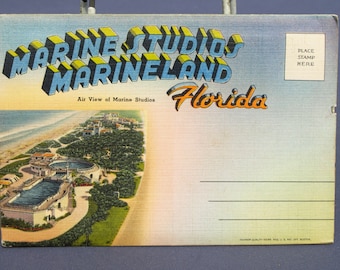 Vintage Marine Studios Marineland Florida Souvenir Foldout Postcard Booklet