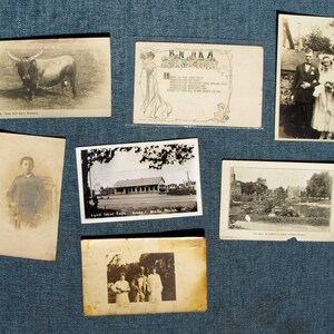 Cartes postales anciennes et photos - Italie Roma Toro dell' Agro Romano, 1905 Adolph Selige Card, Lynn Cafe Rt. 1 Wells, Maine, école Millersville