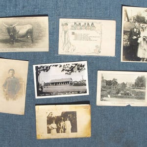 Cartes postales anciennes et photos - Italie Roma Toro dell' Agro Romano, 1905 Adolph Selige Card, Lynn Cafe Rt. 1 Wells, Maine, école Millersville