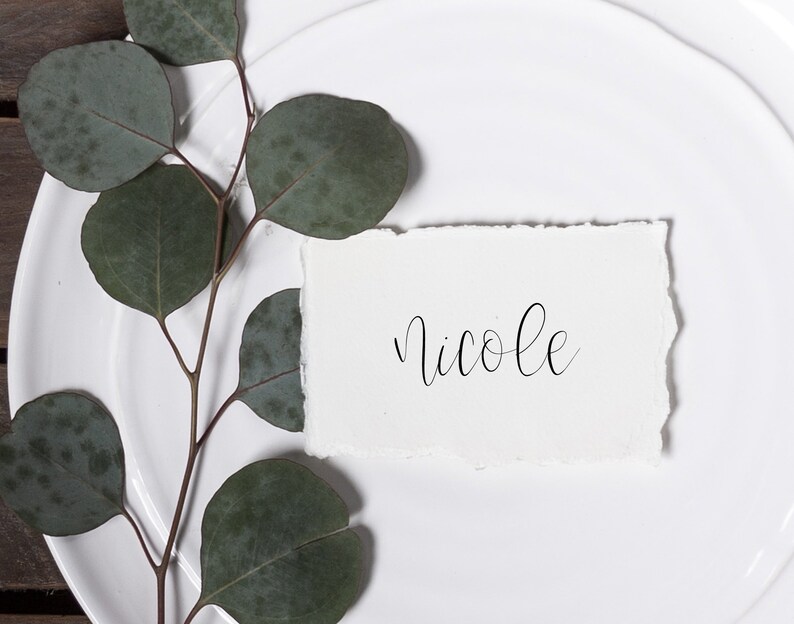 Wedding Place Cards Printable Escort Cards Simple Printable Place Card Template Calligraphy Place Cards Editable Templett MS06