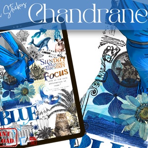 Chandraneel | DIGITAL STICKERS | GoodNotes | Digital Planner Stickers | pre-cropped | IPad Stickers | Bullet Journal | Fun