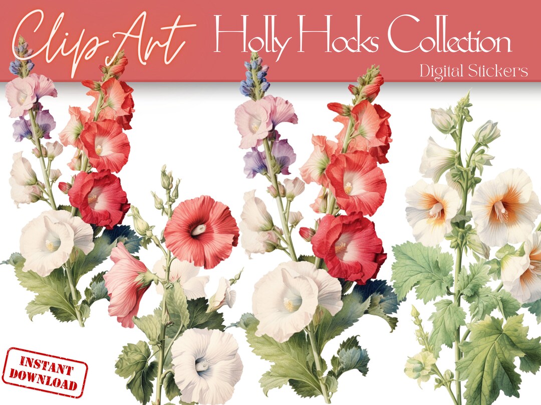 Holy Hock Clipart Collection, PNG Format, Instant Download
