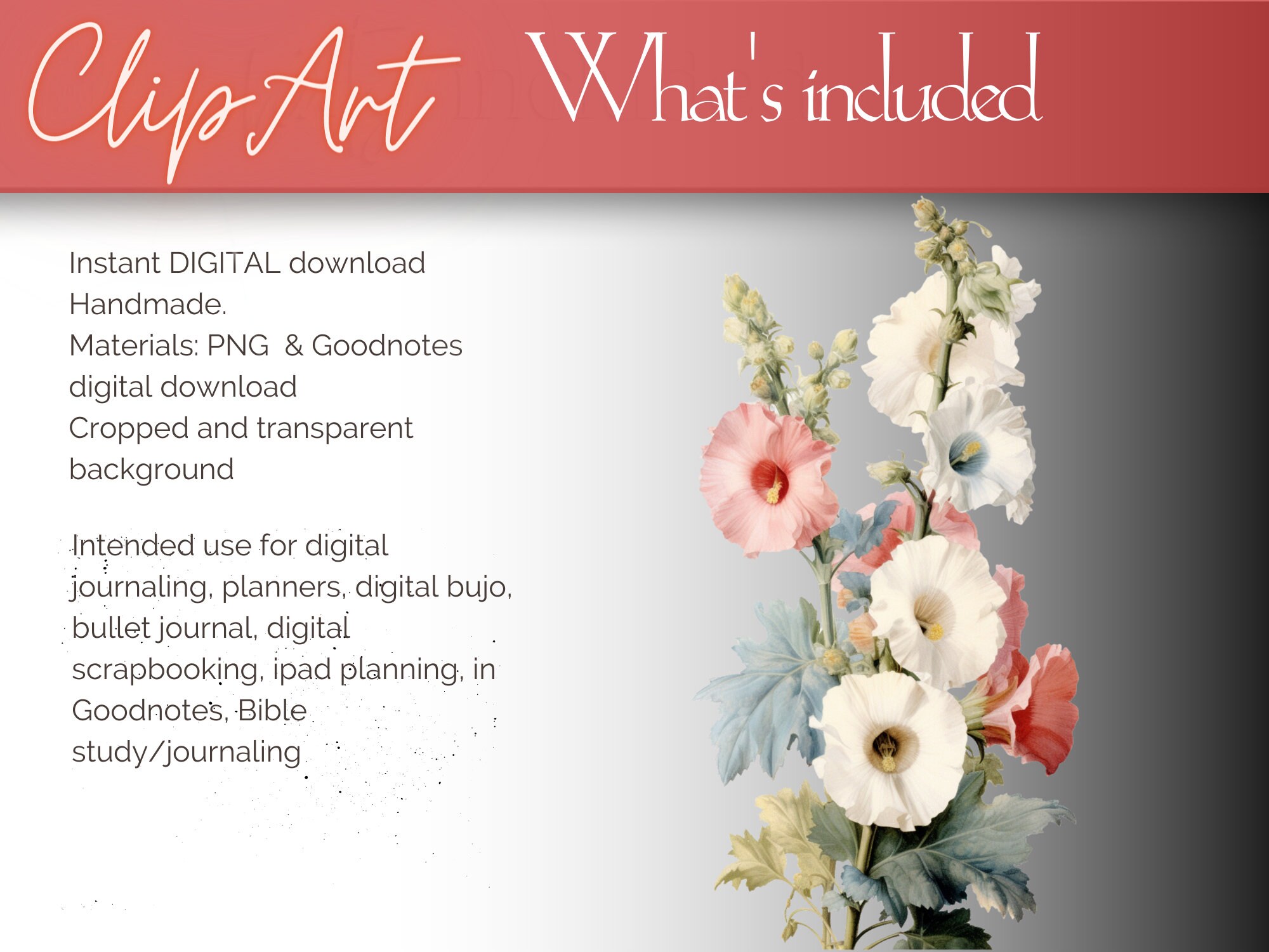 Holy Hock Clipart Collection, PNG Format, Instant Download