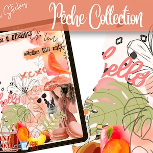 Pêche Collection DIGITAL STICKERS | GoodNotes | Digital Planner Stickers | pre-cropped | IPad Stickers | Bullet Journal | Fun | Peach
