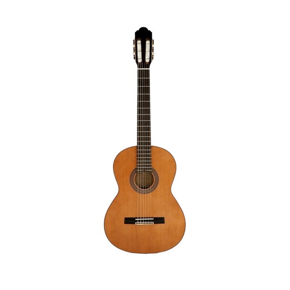 Buy Miguel Almeria 20-CR Solid Cedar Top,nylon String Classical Guitarfree  Gig Bag Online in India 