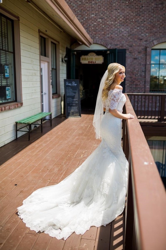 Gorgeous Enzoani Mermaid Wedding Dress - image 2