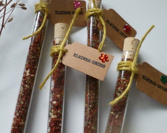 Gift for guests Bruschetta Spice Gift Test tube Small greeting