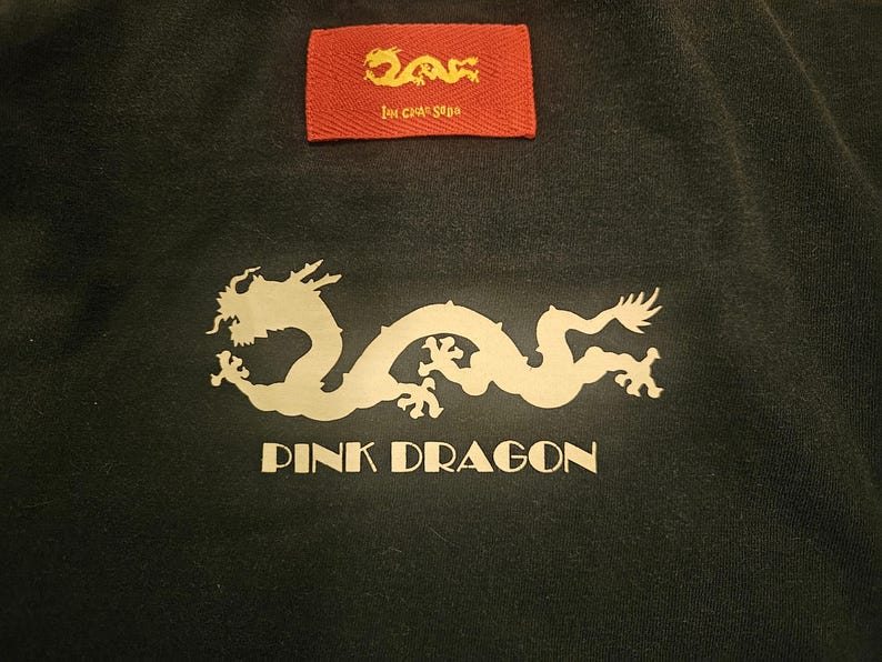 PINK DRAGON 90's Band Tee Faded Vintage T-Shirt Rocker Retro Collectors 1990s Short Sleeve Merchandise Soft Worn in Unisex Black Tee image 11