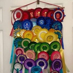 Unpersonalised Handmade Rosette Hanger image 1