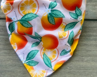 May include: A white bandana with a repeating pattern of orange slices and green leaves. The bandana is folded in a triangular shape.