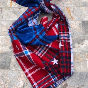 May include: A red, white, and blue plaid bandana with white stars. The bandana is tied in a knot at the top.