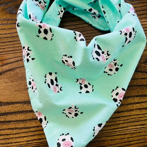 Cows on Teal Cotton Pet Bandana/Scarf
