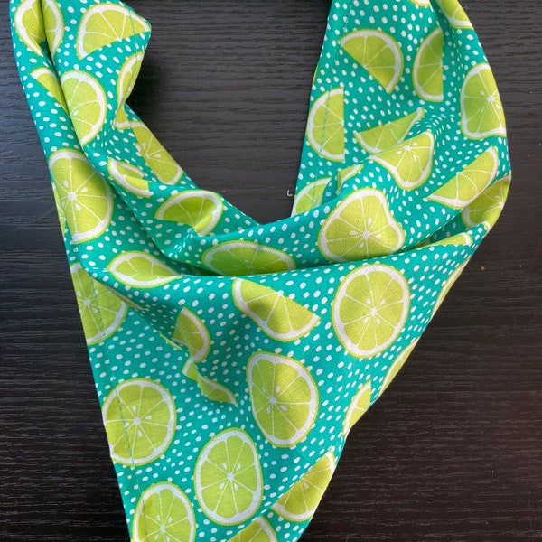 Lime Wedges on Teal Summer Fruit Cotton Pet Bandana/Scarf