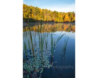 Sylvan Pond Autumn Scenery | Cuyahoga Valley National Park | Fall Foliage | Trees | Ohio | Landscape | Photography | Print | Wall Display