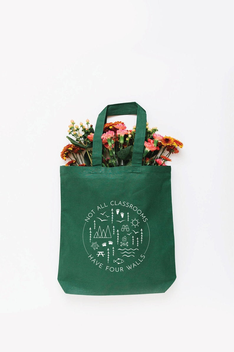 Not All Classrooms Have Four Walls Tote Bag, Choose Size and Color Small Green