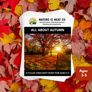 All About Autumn Mini Unit Study for Ages 3-5, Fall Printable, Autumn Digital Download, STEAM, STEM Activity, Homeschool, Preschool