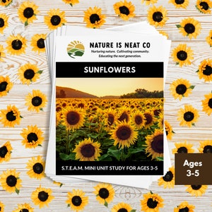 Sunflowers Mini Unit Study Ages 3-5, Preschool, Sunflower Download, Science, STEM, Homeschool, Sunflower Printable, STEAM Activities