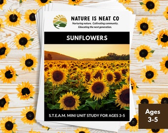 Sunflowers Mini Unit Study Ages 3-5, Preschool, Sunflower Download, Science, STEM, Homeschool, Sunflower Printable, STEAM Activities