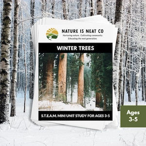 Winter Trees Mini Unit Study for Ages 3-5, Winter Homeschool, STEM, Homeschool, Preschool, Nature Download, STEAM Activities, Printable