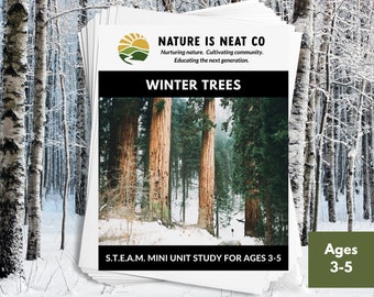Estudio de mini unidad Winter Trees para edades de 3 a 5 años, escuela en casa de invierno, STEM, educación en casa, preescolar, descarga de naturaleza, actividades STEAM, imprimible