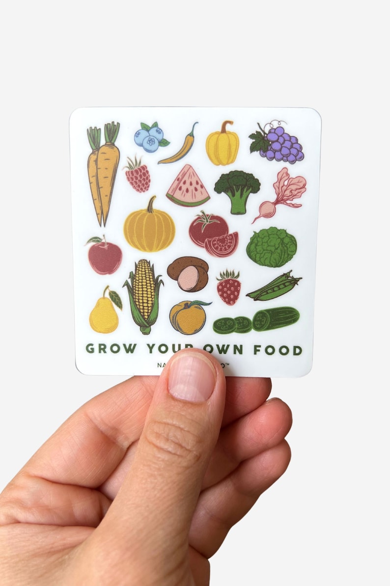May include: A white sticker with a green border and the text "Grow Your Own Food" in green letters. The sticker features a variety of colorful fruits and vegetables, including carrots, pumpkins, watermelon, corn, grapes, and blueberries.