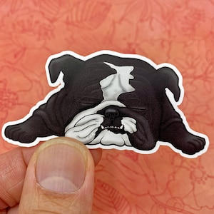 Cane Corso Dad Pegatina De 8 Pulgadas, Calcomanía Para Ventana, Perro, Mastiff Italiano