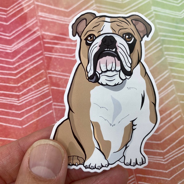 Bulldog Vinyl Sticker, Bulldog Decal Sticker, Dog Sticker, Dog Lover Sticker, Cute Sticker, English Bulldog, English Bulldog Sticker