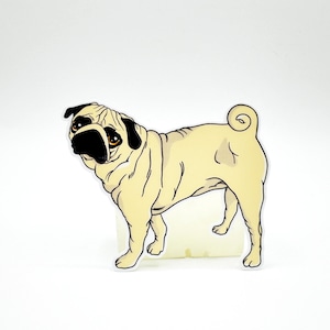 May include: A beige pug with black eyes and a curled tail. The pug is standing on a white background.